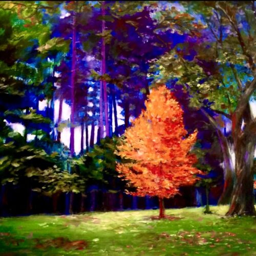 Arboretum