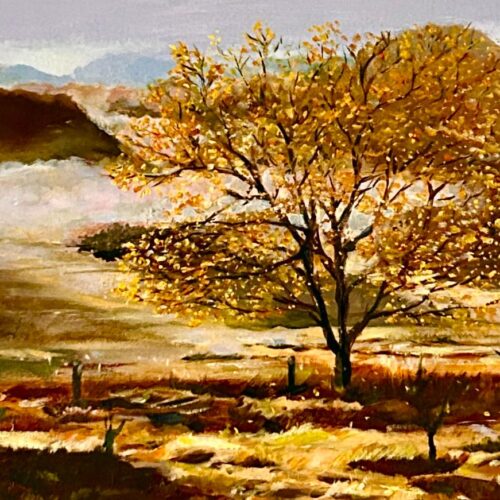 Forest in the Fall